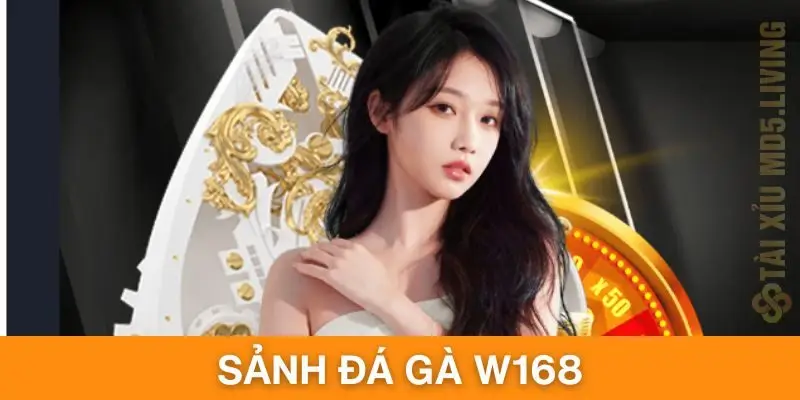 Sảnh Đá Gà W168 Nổi Tiếng, Chất Lượng Hàng Đầu Sân Chơi