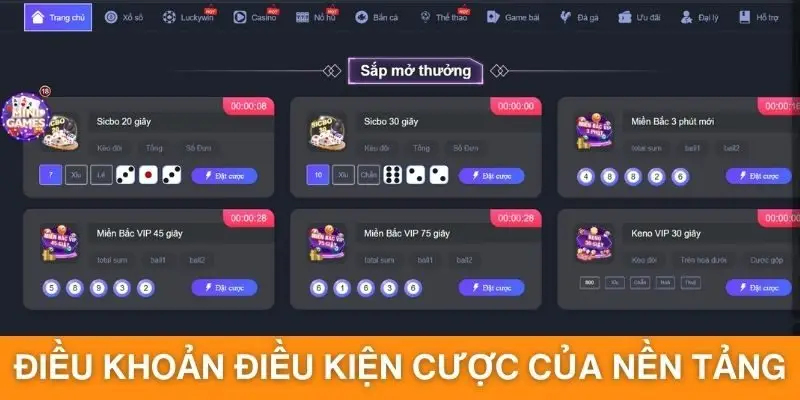 Điều khoản điều kiện cược của nền tảng