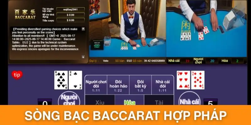Tổng Hợp Sòng Bạc Baccarat Hợp Pháp Hoạt Động Tại Việt Nam